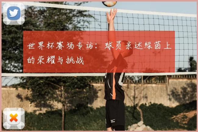 世界杯赛场专访：球员亲述绿茵上的荣耀与挑战