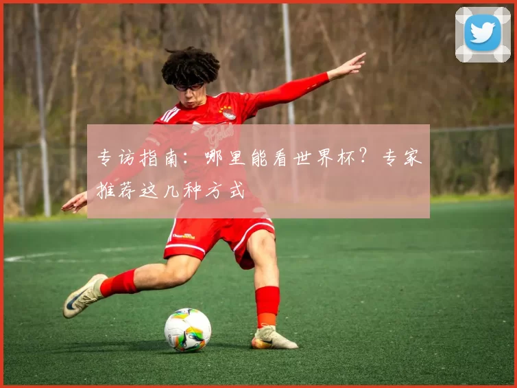 专访指南：哪里能看世界杯？专家推荐这几种方式
