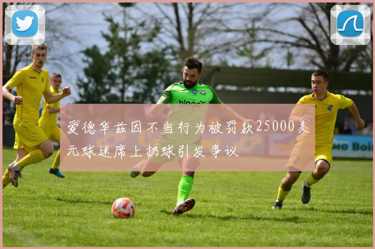 爱德华兹因不当行为被罚款25000美元球迷席上扔球引发争议