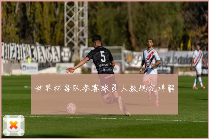 世界杯每队参赛球员人数规定详解