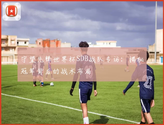 守望先锋世界杯SDB战队专访:揭秘冠军背后的战术布局