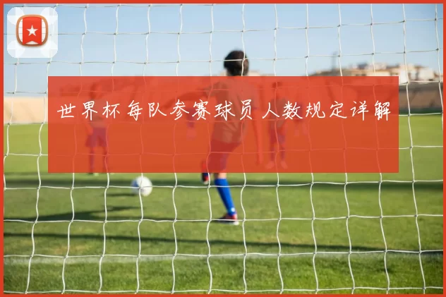 世界杯每队参赛球员人数规定详解