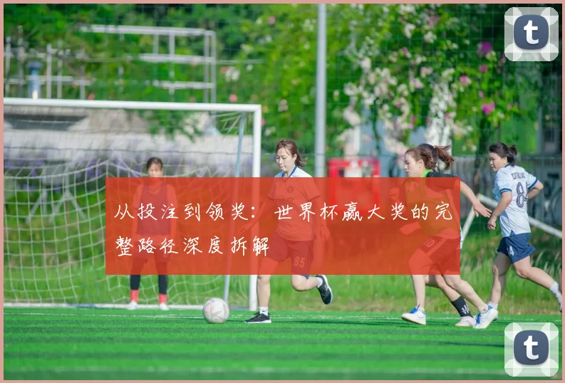 从投注到领奖:世界杯赢大奖的完整路径深度拆解