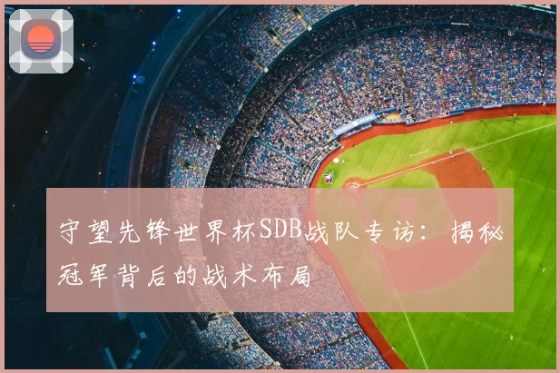 守望先锋世界杯SDB战队专访:揭秘冠军背后的战术布局