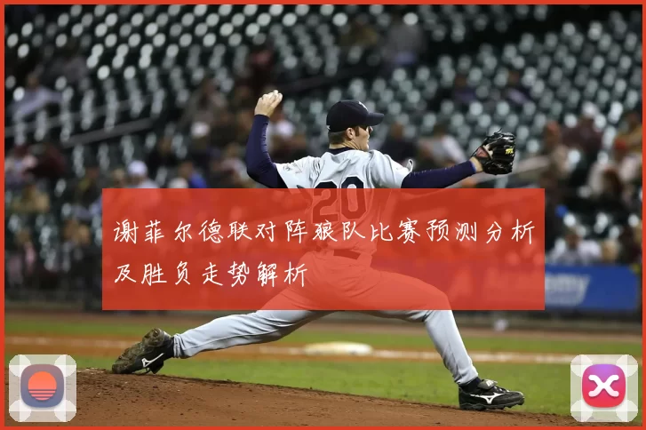 谢菲尔德联对阵狼队比赛预测分析及胜负走势解析