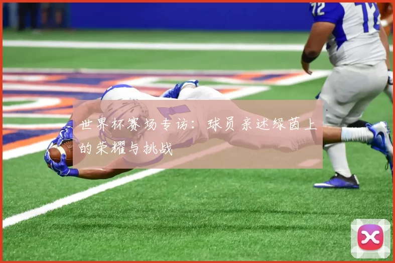 世界杯赛场专访：球员亲述绿茵上的荣耀与挑战