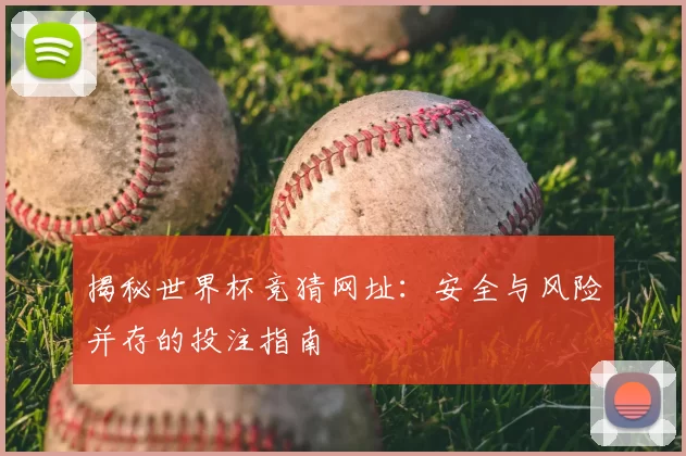 揭秘世界杯竞猜网址:安全与风险并存的投注指南