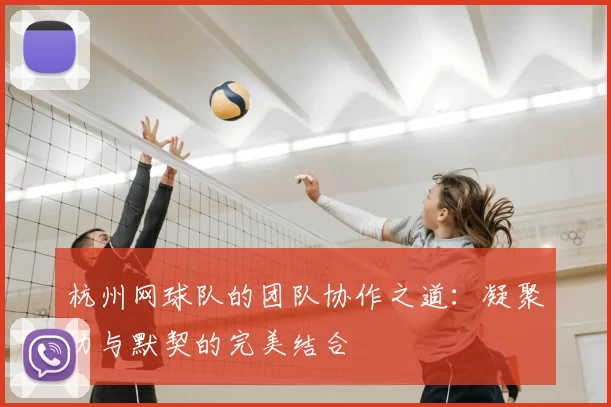 杭州网球队的团队协作之道：凝聚力与默契的完美结合