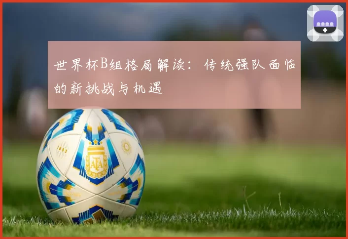 世界杯B组格局解读：传统强队面临的新挑战与机遇