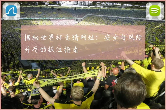 揭秘世界杯竞猜网址:安全与风险并存的投注指南