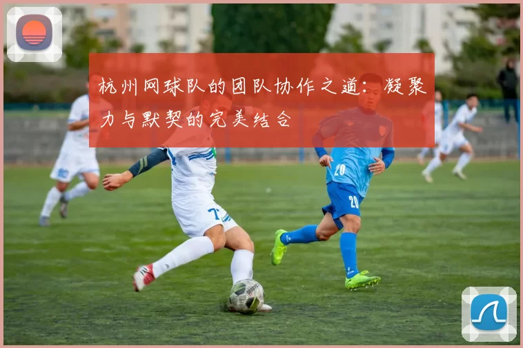 杭州网球队的团队协作之道：凝聚力与默契的完美结合