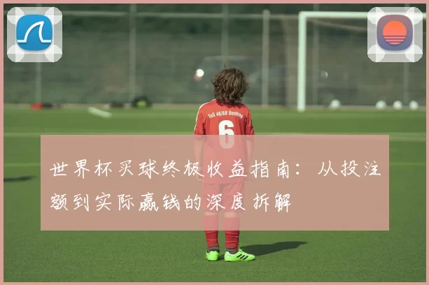 世界杯买球终极收益指南:从投注额到实际赢钱的深度拆解