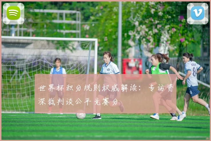 世界杯积分规则权威解读：专访资深裁判谈公平竞赛分