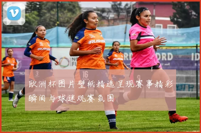 欧洲杯图片壁纸精选呈现赛事精彩瞬间与球迷观赛氛围