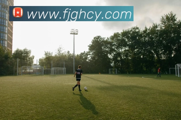 华体会APP 高清赛事图